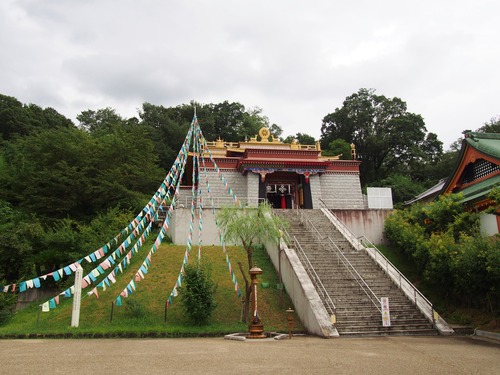 P8166211