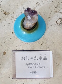 PA245227.jpg