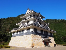 PA174844.jpg
