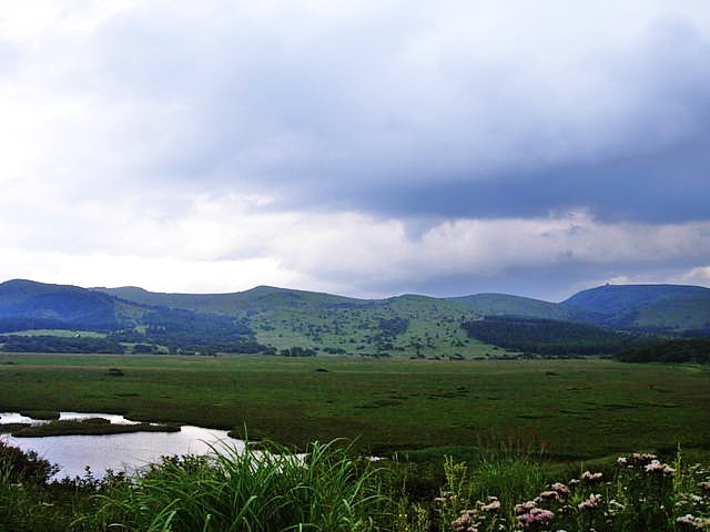 19563171_4217947738.jpg