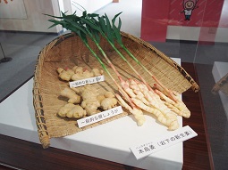 PB275806.jpg