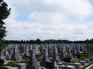 6669941_2168700377_254large