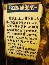 PA074772.jpg