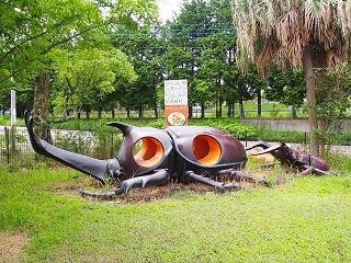 6669941_2223528252_39large