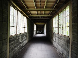 6669941_2111176719_120large.jpg