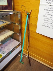 PB175504.jpg