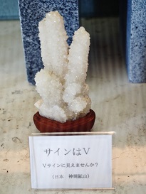 PA245225.jpg