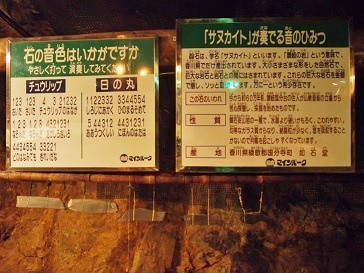 PA074761.jpg