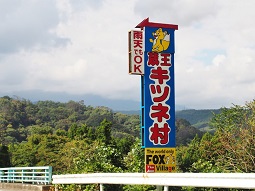 PA063747.jpg