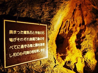 6669941_2164972513_168large.jpg