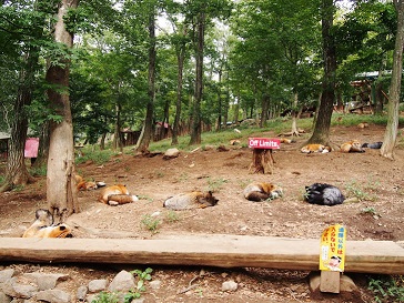 PA063803.jpg