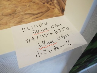 6669941_2231863631_97large