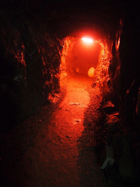 6669941_2029428011_208large