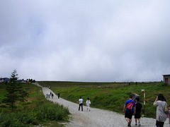 19563171_786855328s.jpg