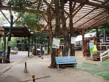 PA063761.jpg