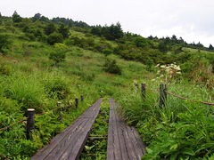 19563171_275896229s.jpg