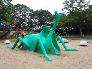 6669941_2223544558_122large