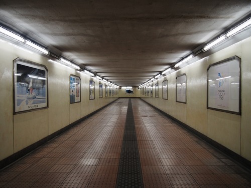 P8307441