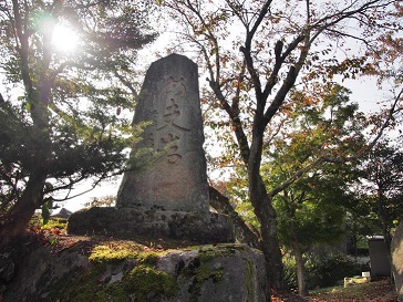 PA245393.jpg