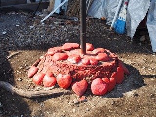 6669941_2239441151_15large