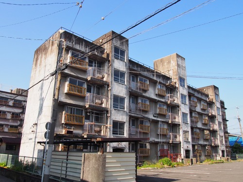 P6090394