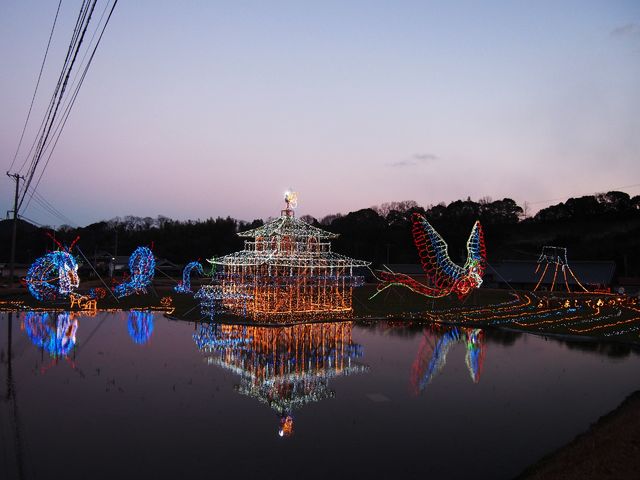 6669941_2040897109_145large.jpg