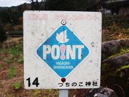 PB175540.jpg