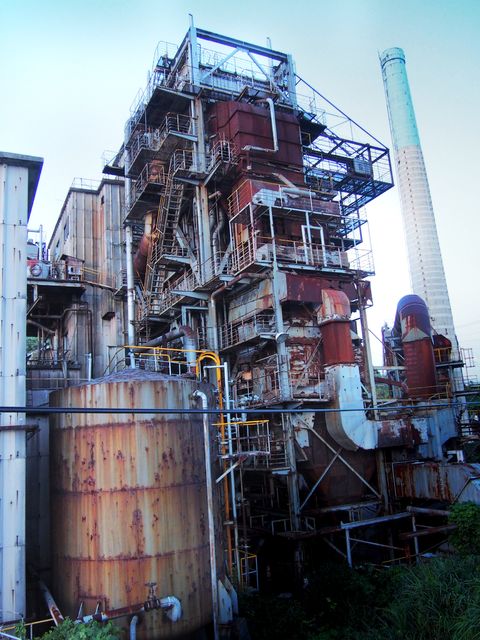 6669941_1999925895_187large.jpg