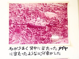 PB175459.jpg