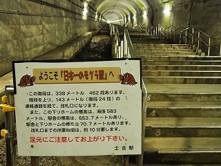 6669941_2111176707_200large.jpg