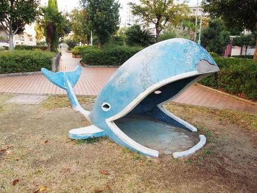 6669941_2239410283_132large