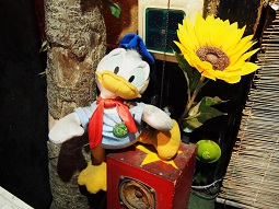PC196234.jpg