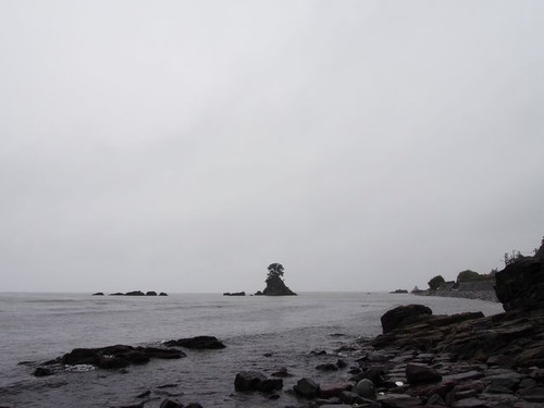 6669941_2238753819_193large