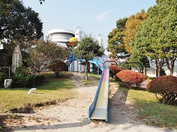 PA245418.jpg