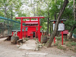 PA063828.jpg