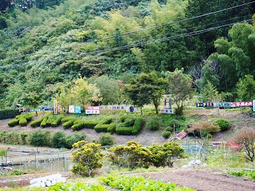 PA064162.jpg