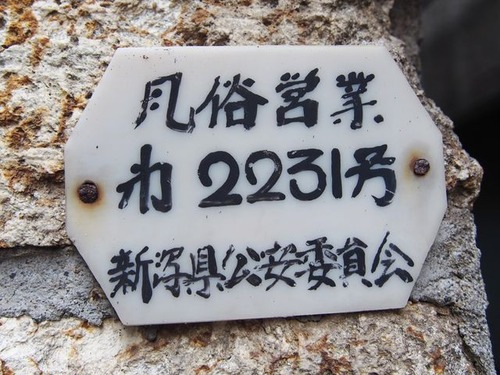 6669941_2248704725_218large
