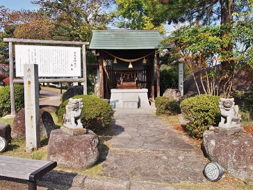 PA245388.jpg