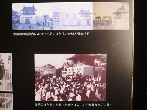 P7245042