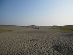 35457454_1152188334s.jpg