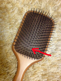 AVEDA