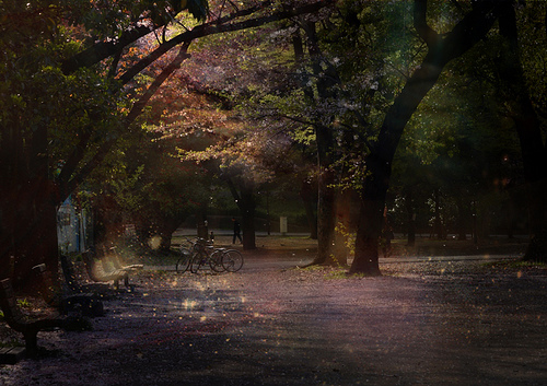 2008桜