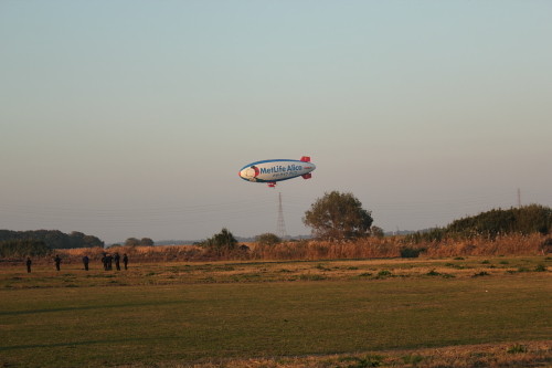 DPP_5558