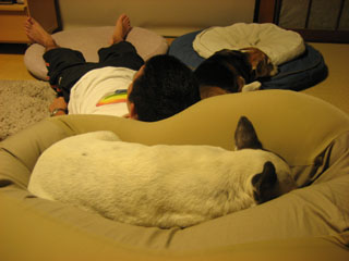 7600a892.jpg
