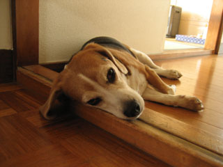 9498406d.jpg