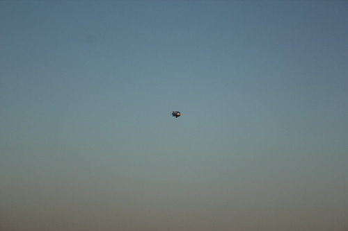 DPP_5555