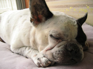 d70a80b1.jpg