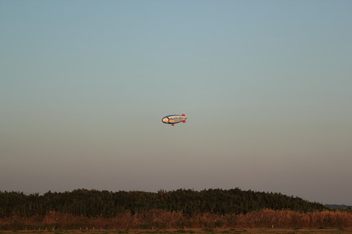 DPP_5557