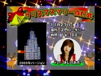 2010ǯ¥¯¥ê¥¹¥Þ¥¹¥Ä¥ê¡¼ÅÀÅô¼°