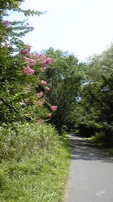 49c08f82.jpg